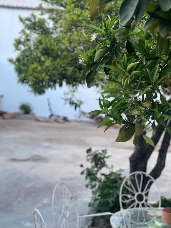 Casa Muriana Alanís Εξωτερικό φωτογραφία